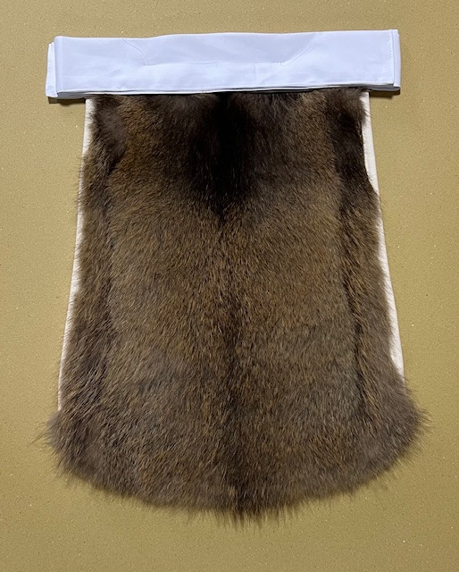 raccoon4.jpg