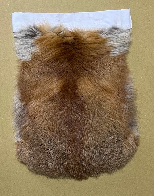 red fox.jpg