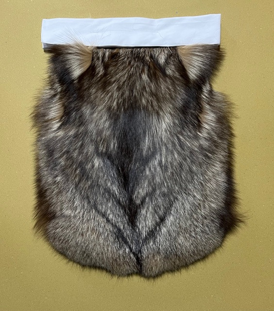 silver fox.jpg