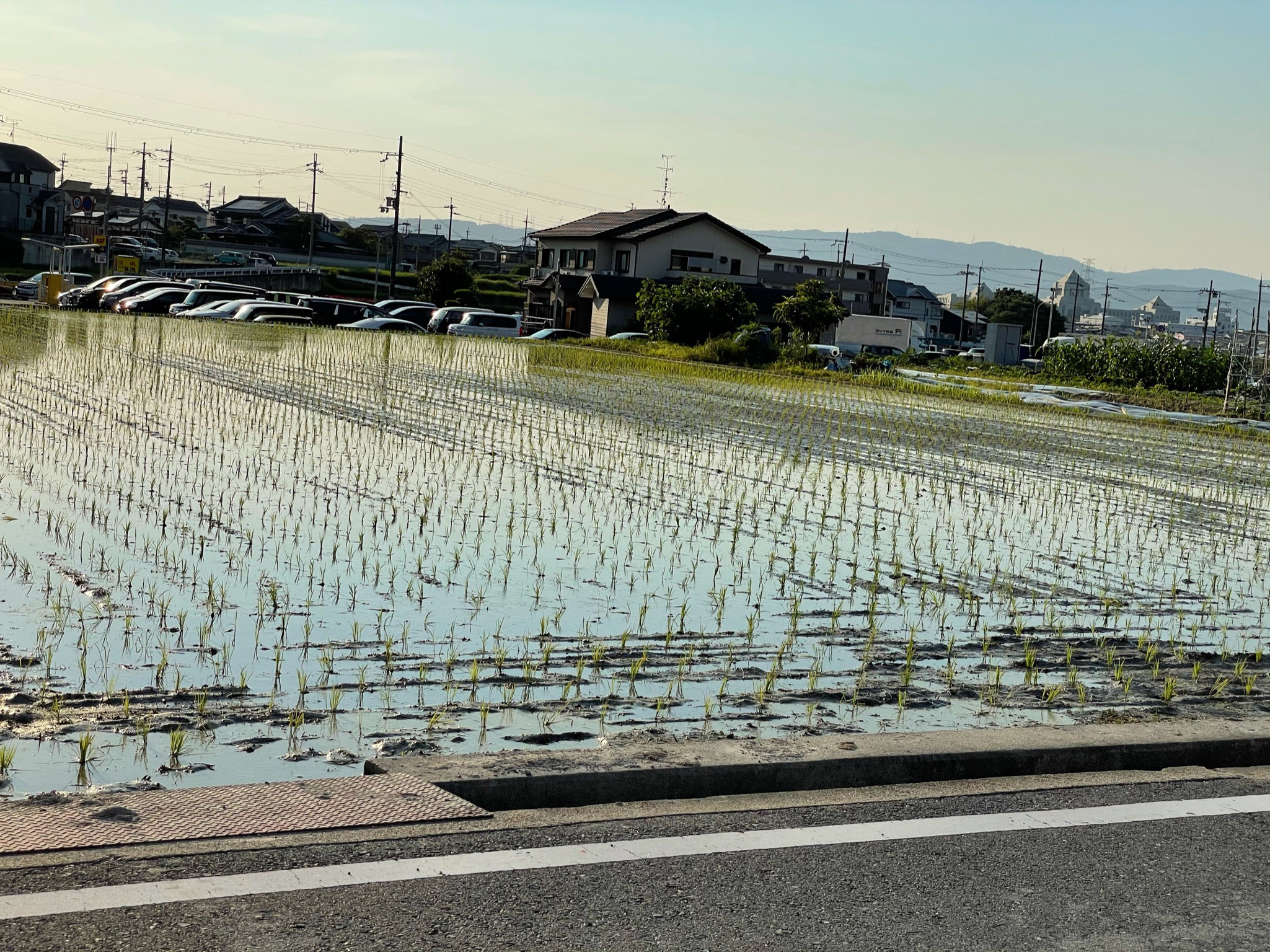 今月の行事(6月)について
