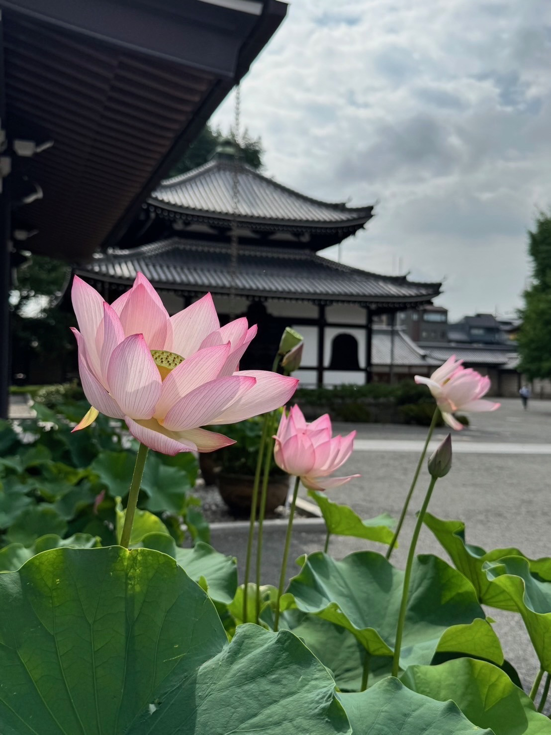今月の行事(7月)について