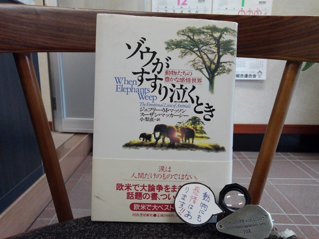 024-ゾウがすすり泣く時.JPG