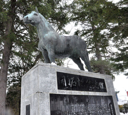 1月1日、元旦号-宿泊税・駐車場利用税は総務省からダメ出しほか
