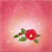 camellia-01.jpg