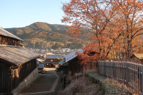 秋色に染まった志田焼の里