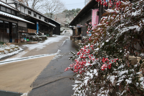 今年もお世話になりました。
