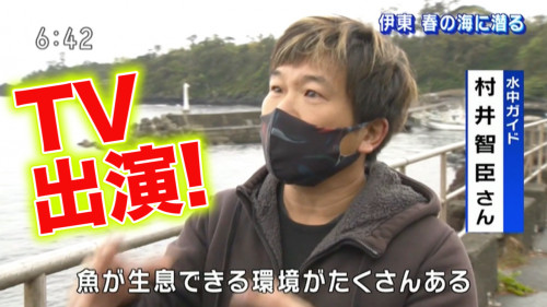 NHKのテレビ取材で、富戸の春の海を案内してきました〜！！