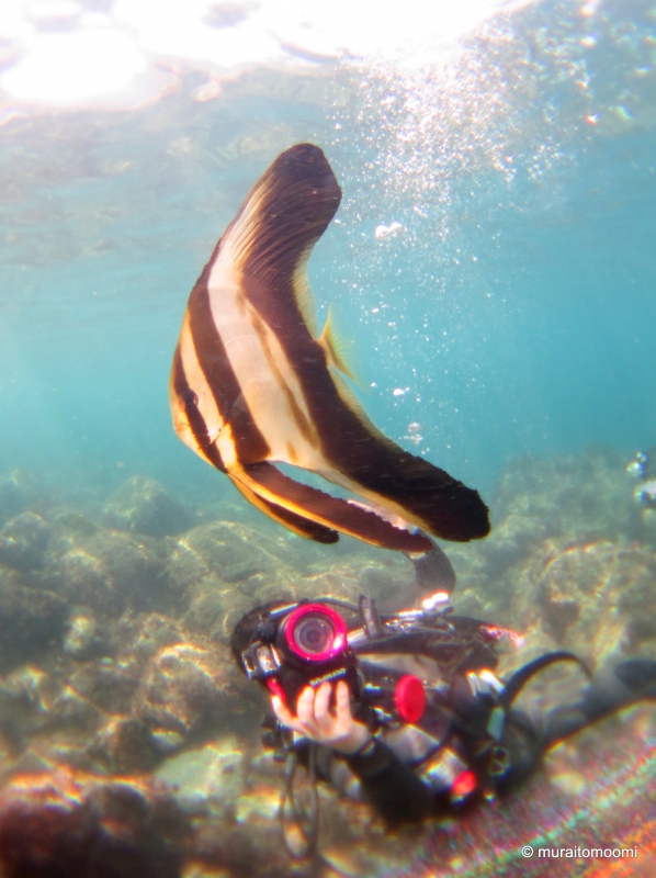 予約いっぱいです