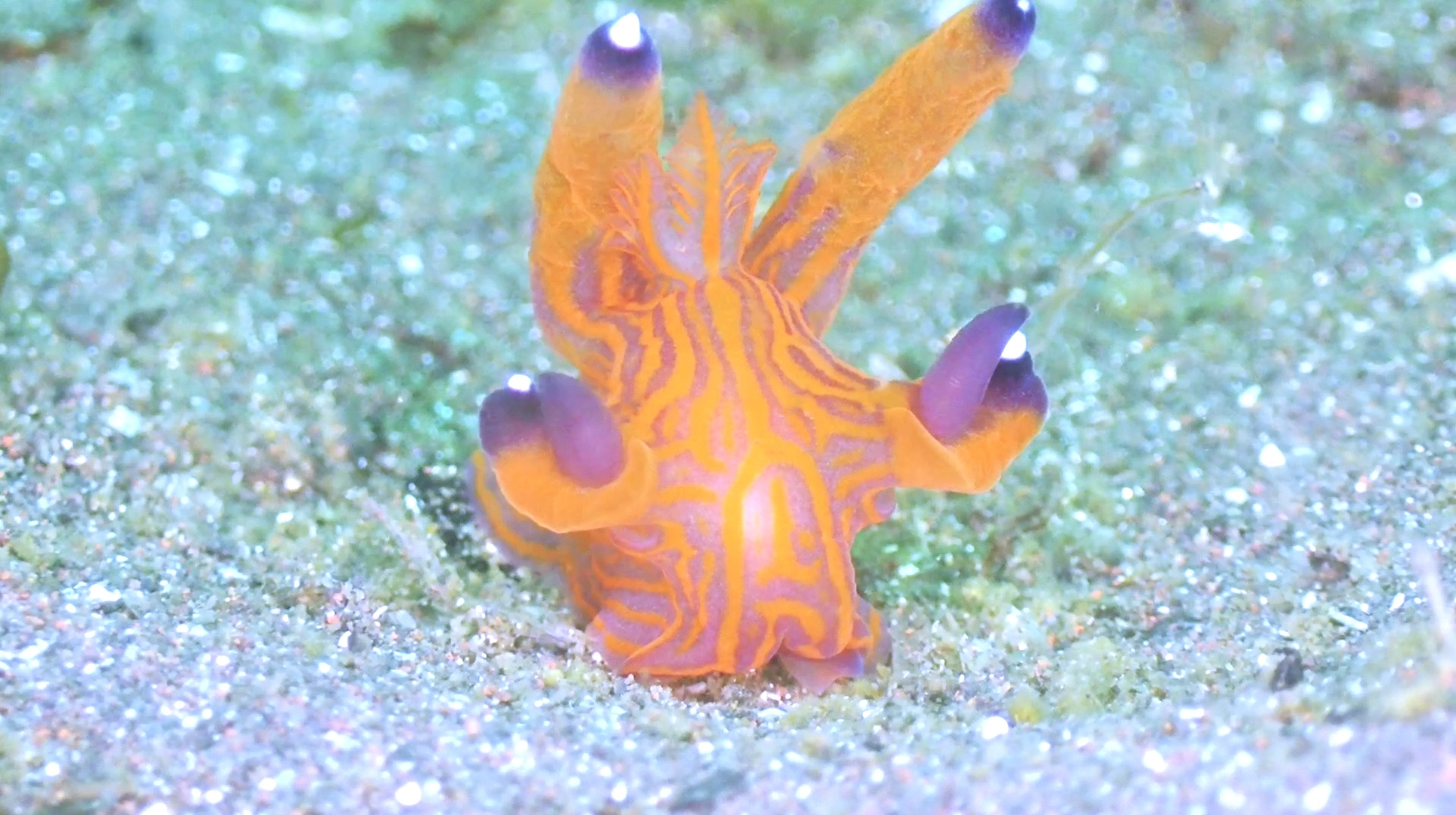 貸し切りになってまーす。