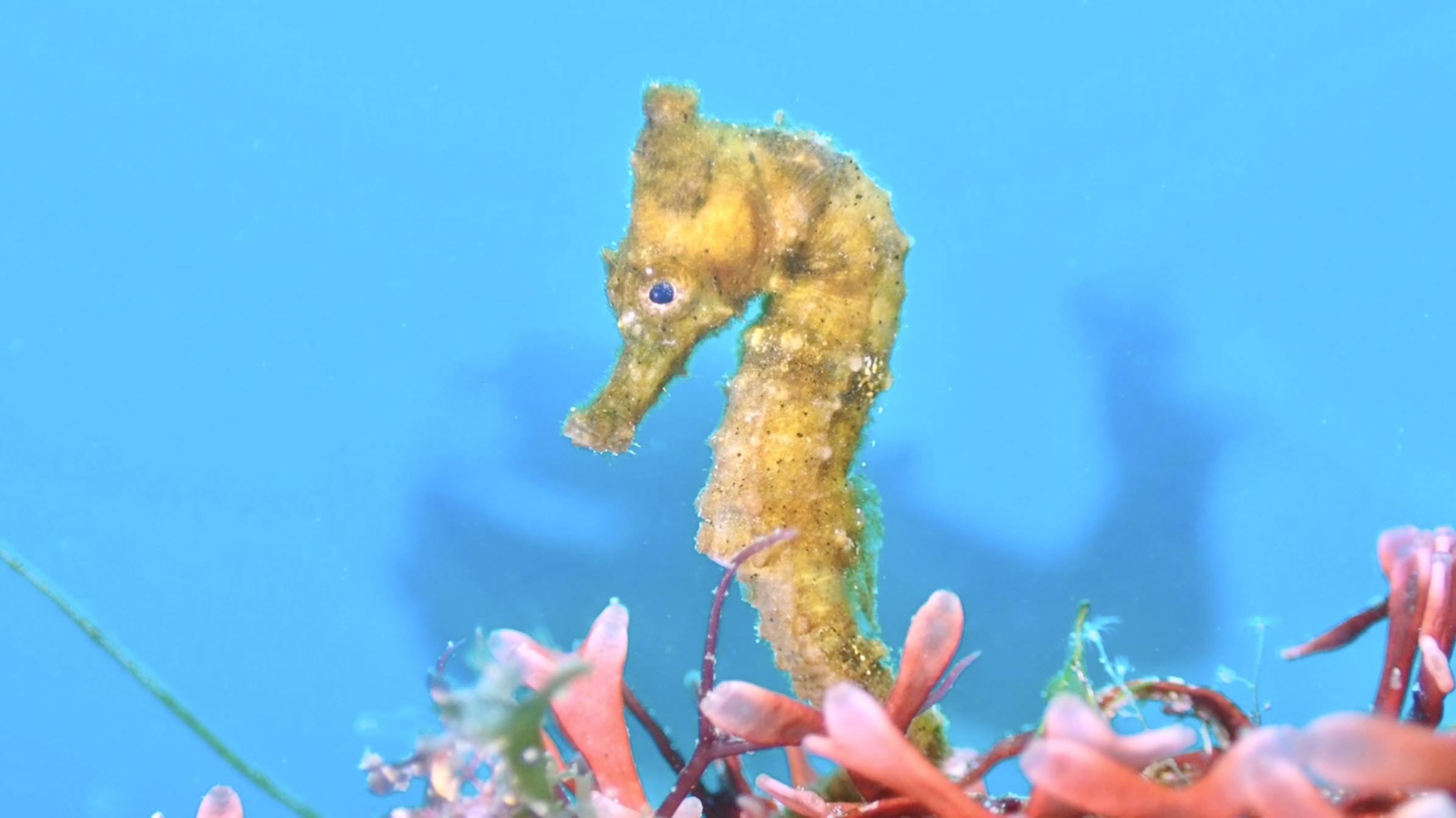 ご予約いっぱいです。