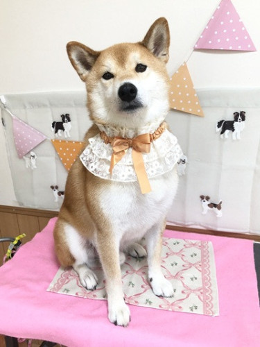 s-2025.8.25樋口まる.jpg
