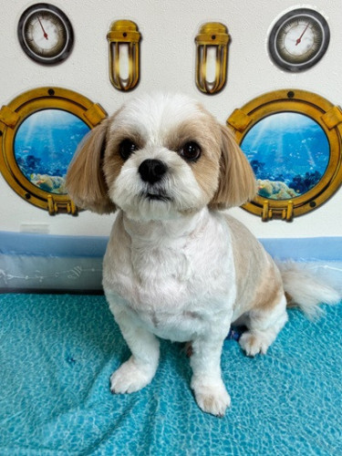 s-2026.6.24宮倉はなまる.jpg