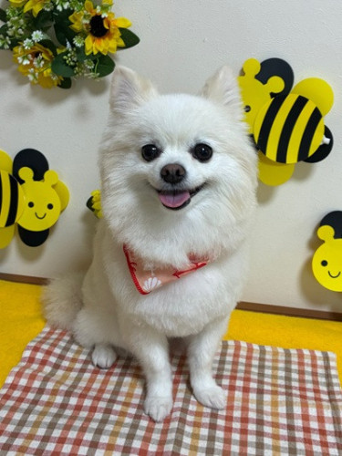 s-2026.8.13八木れん.jpg