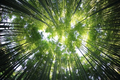 忙しい年末