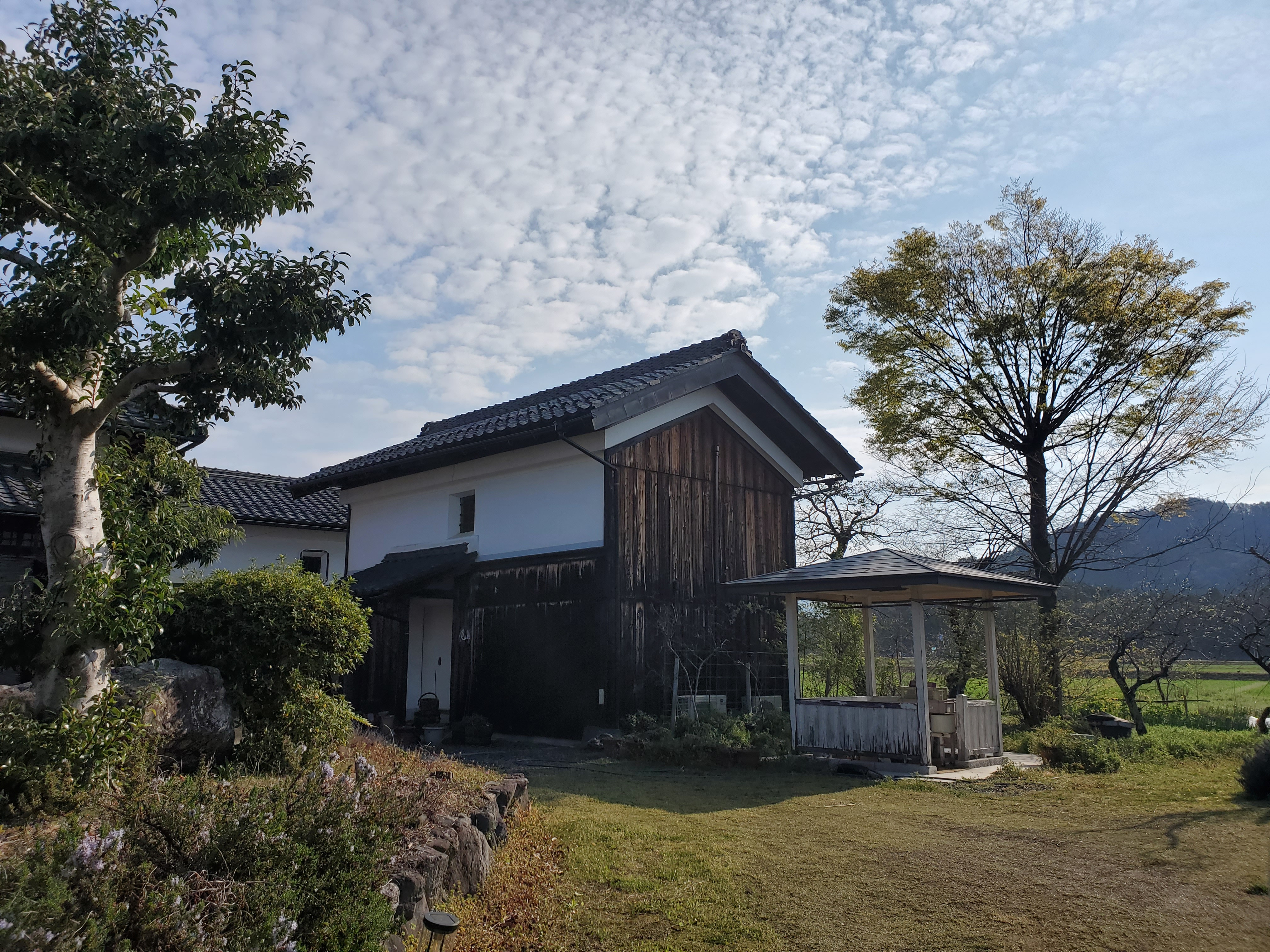 Rasa6月、7月のご予約について