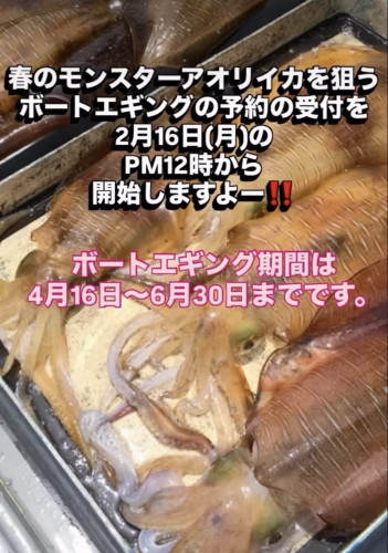 2026年度 春のボートエギング予約開始のお知らせ!