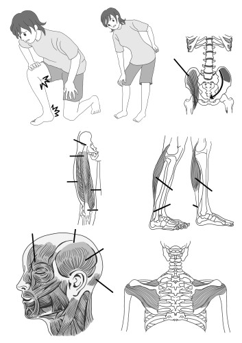 マキノ出版「ひざ痛を治したければ筋肉をはがしなさい」表紙・挿絵