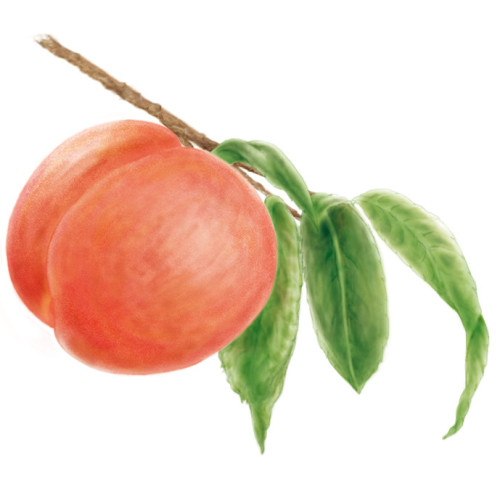 Peach.jpg