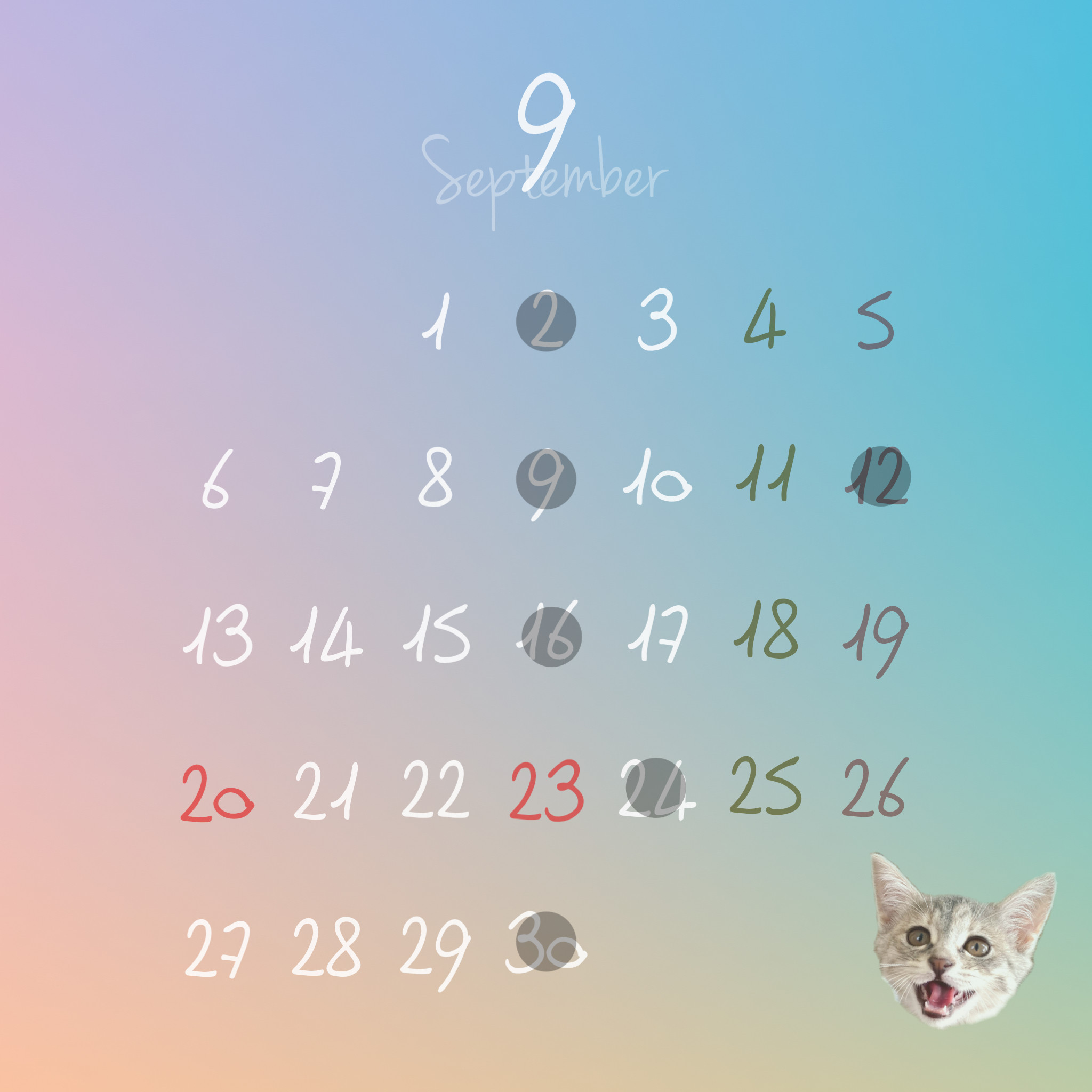 ☆9月の店休日☆