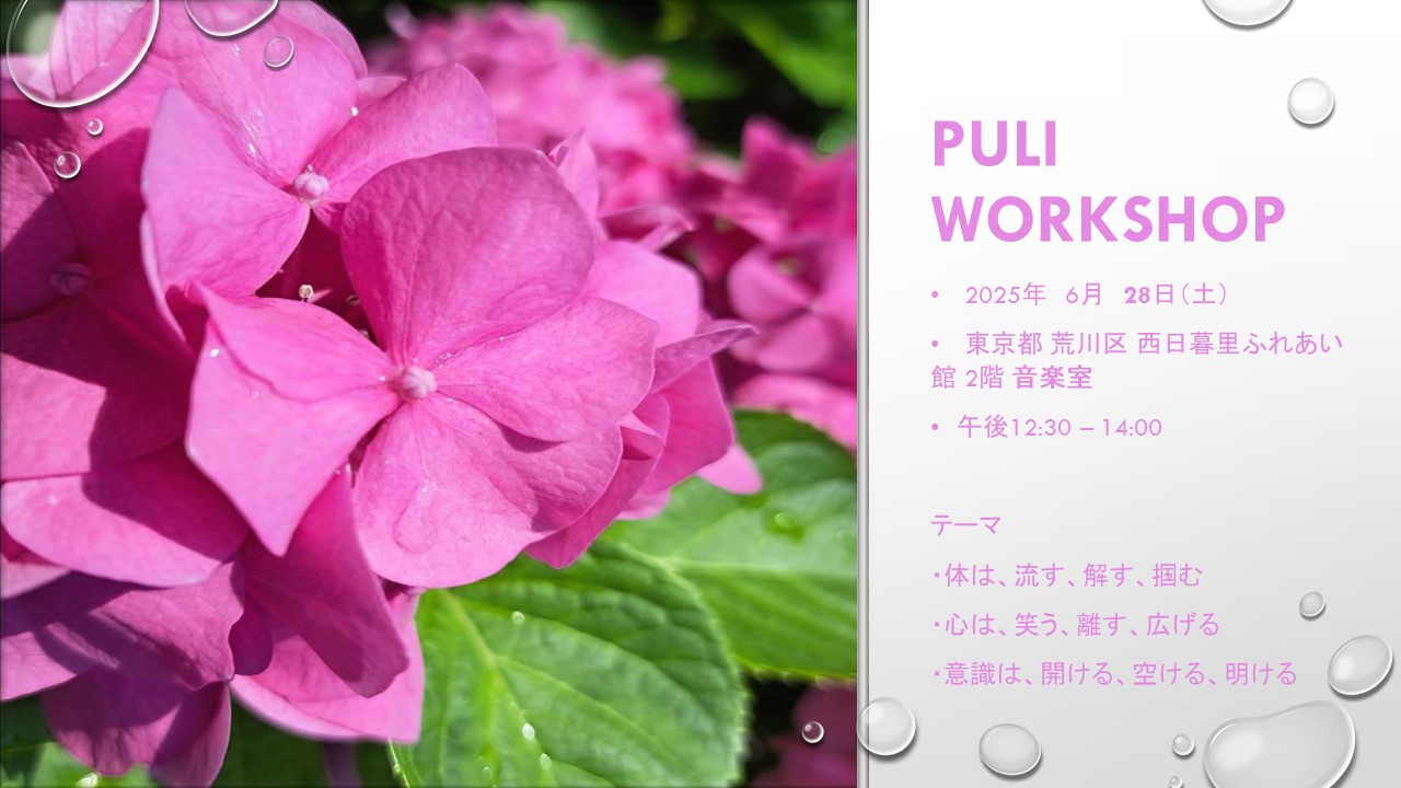 PULI WORKSHOP 1.5H 6月のお知らせ