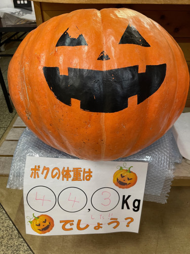 カボチャ重量あて正解発表!