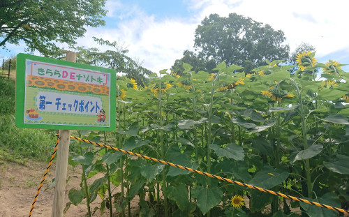 【開催中】きららDEナゾトキ