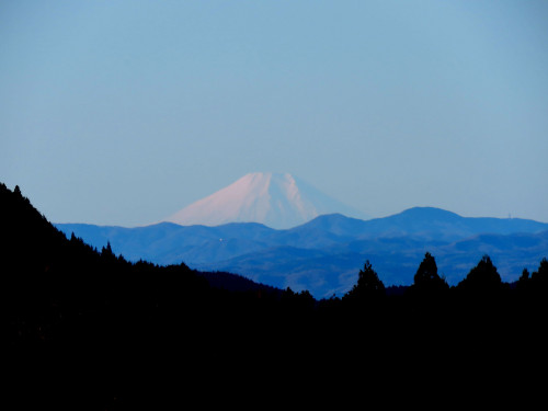 「朝の富士山観賞会」開催案内