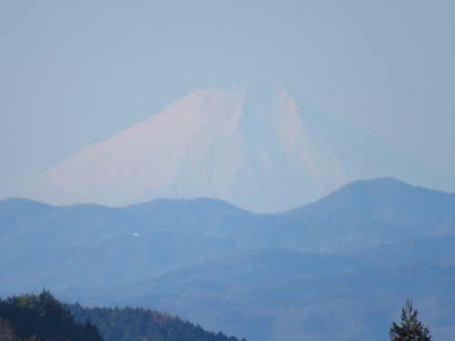 朝の富士山観賞会のご案内