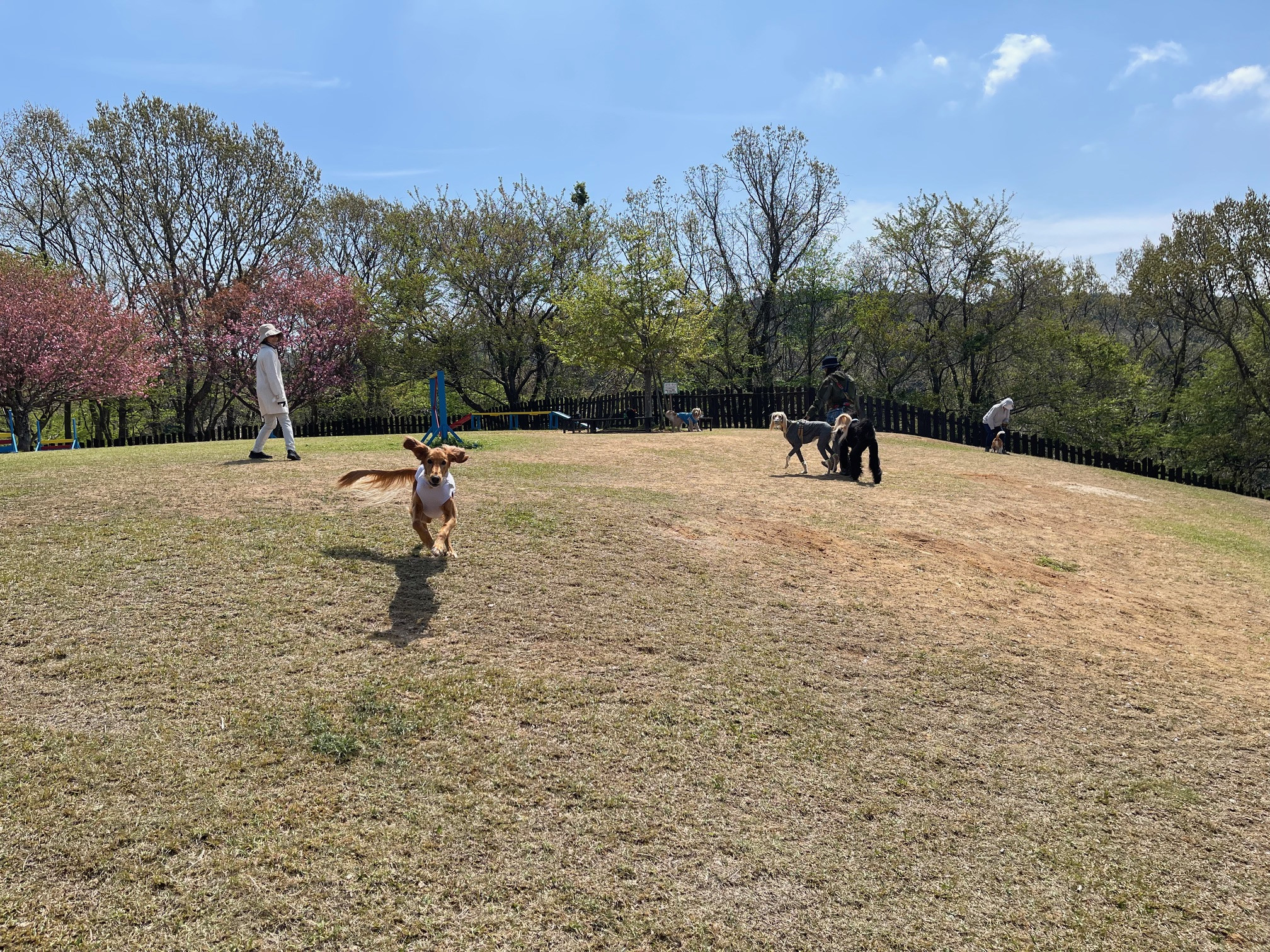 ドッグラン草刈り作業のお知らせ