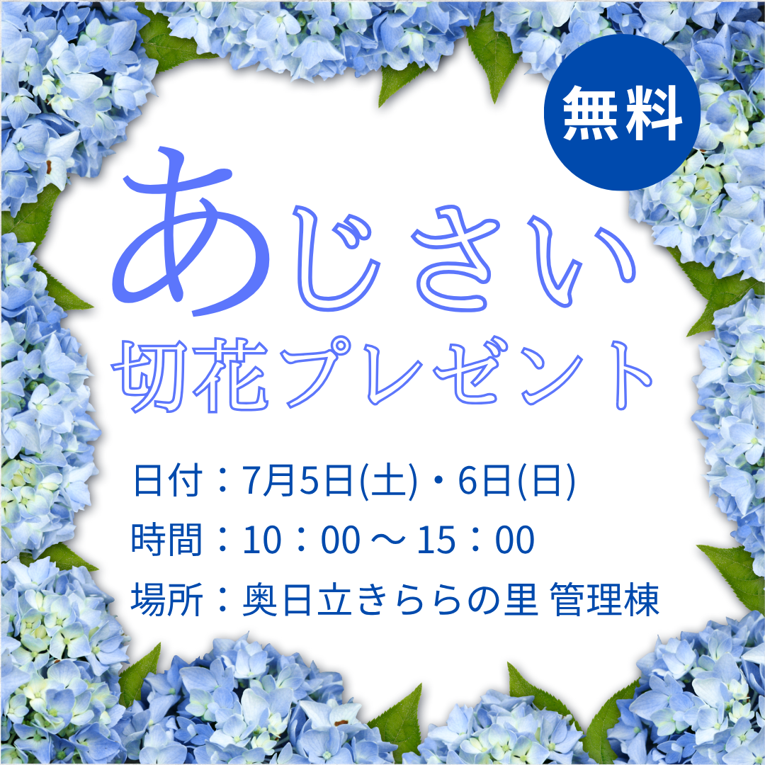 あじさい.png