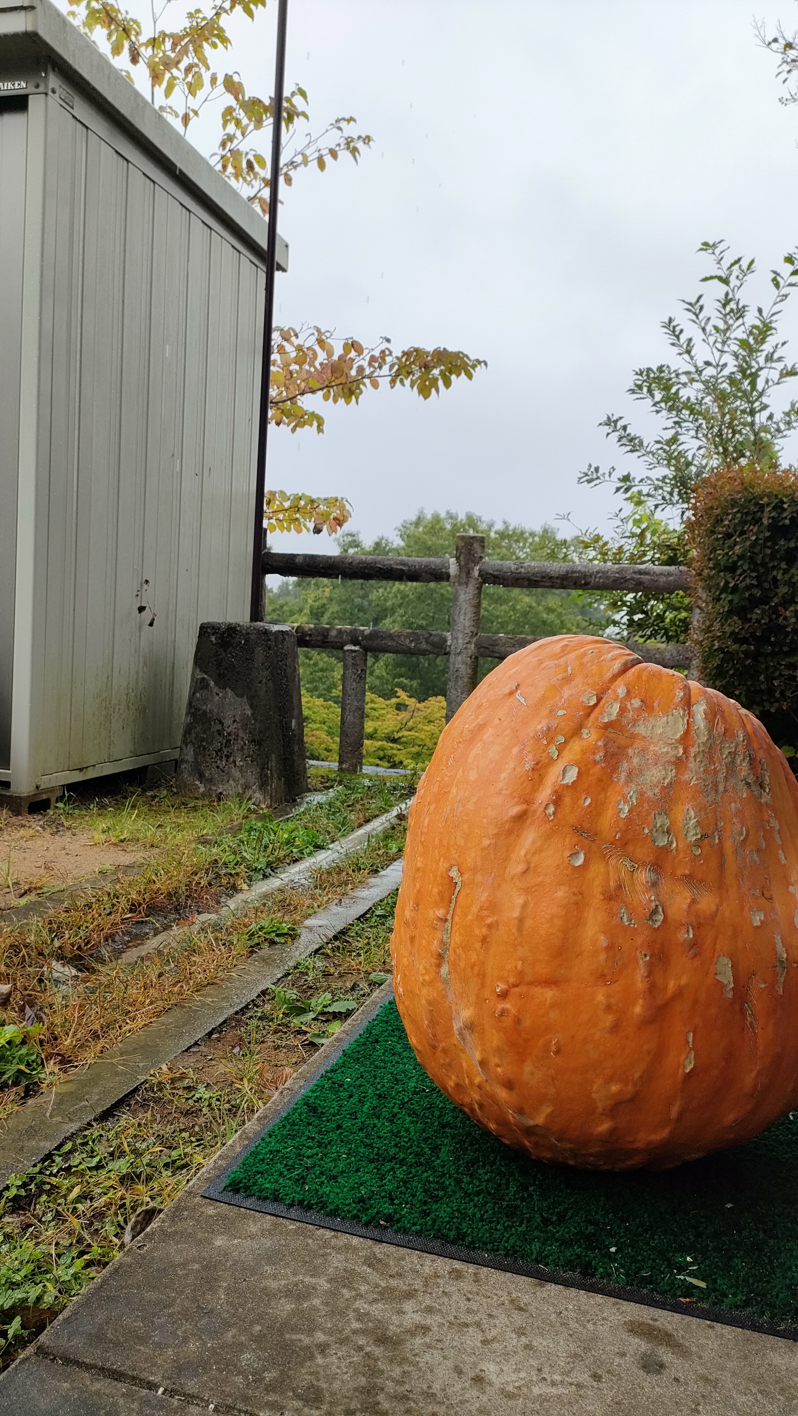 本日(10/11)の営業について