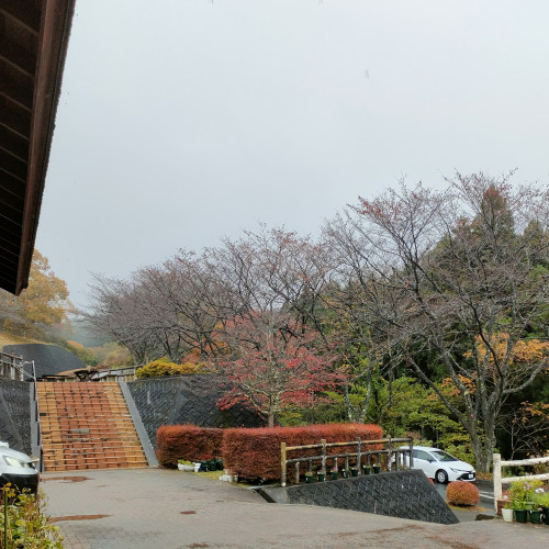 本日(11/9)の営業について