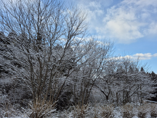 2月17日(火)の営業について