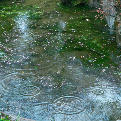 3月31日(火)の営業について