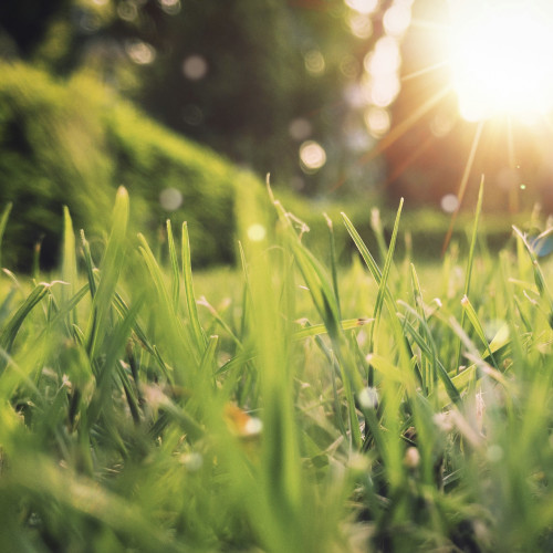 Unlimit Yoga - 本来の自分に還る、解放のリチュアル