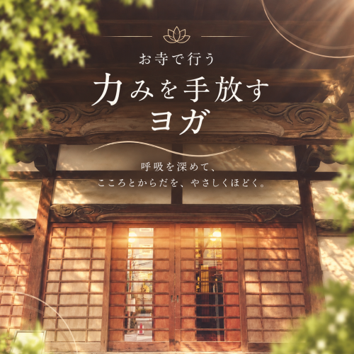 【11/3(火祝) 】お寺で味わう「力みを手放すヨガ」
