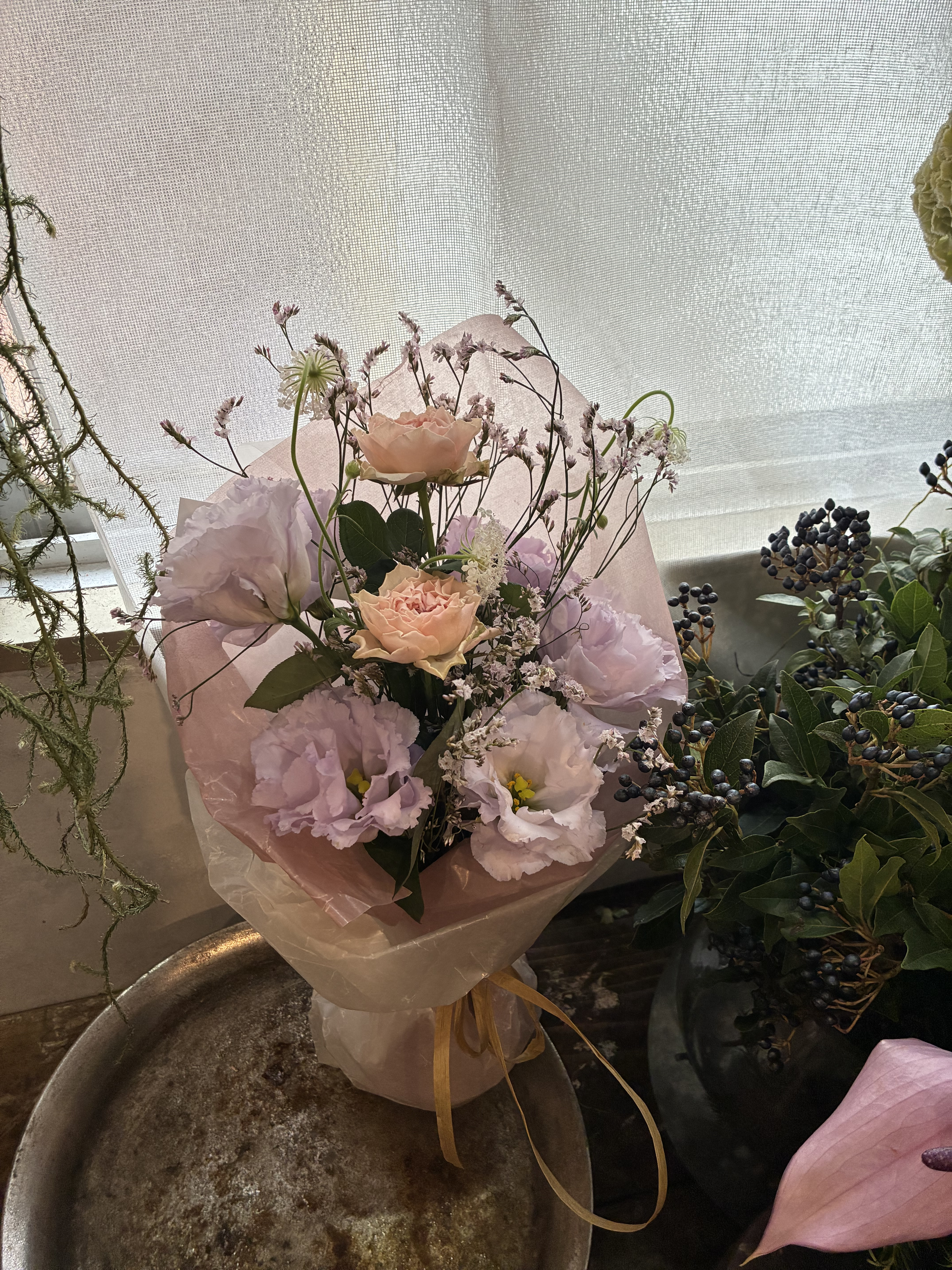 IMG_8553.jpeg
