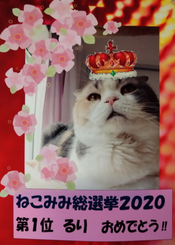 🌸🌸 9月の予定 🌸🌸