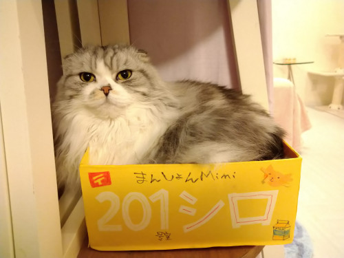🌼1月の予定🌼