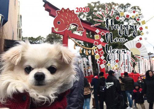 1月イベント出店スケジュールのお知らせ