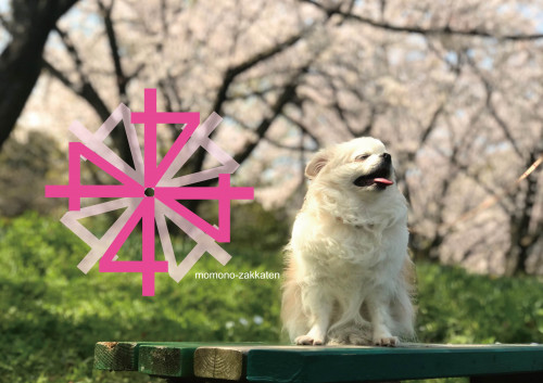 4月の予定のお知らせ
