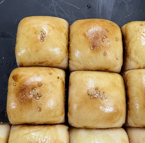 埼玉女子短期大学様準備中