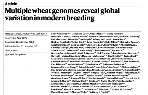 世界のコムギ15品種の高精度ゲノム解読に関する論文が、世界トップレベルの学術誌Natureに掲載されました
