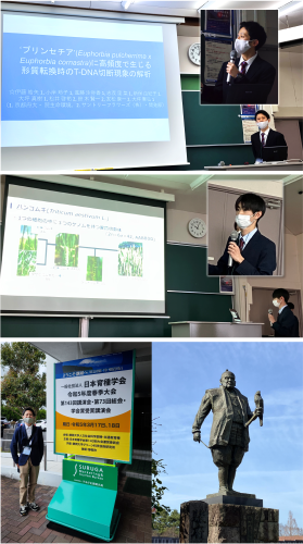 静岡大学で開催された日本育種学会第143回講演会に参加してきました