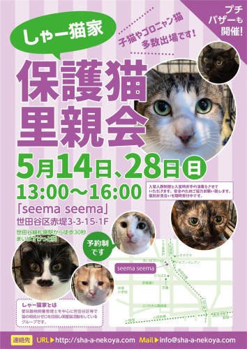 【要予約】5月の里親会は14日と28日です！
