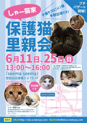 【要予約】6月の里親会は11日と25日です！