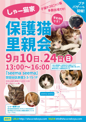 【要予約】9月の里親会は10日と24日です！