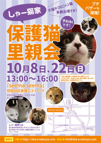 【要予約】10月の里親会は8日と22日です！