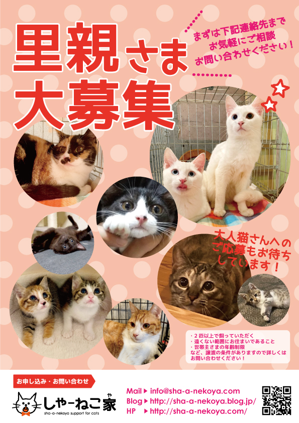 【要予約・別日対応可】5月の里親会は11日と25日です!