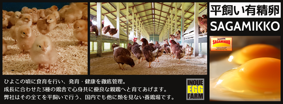 【公式】平飼い有精卵さがみっこ - CAGE FREE EGG